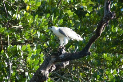 DSC_0103.JPG