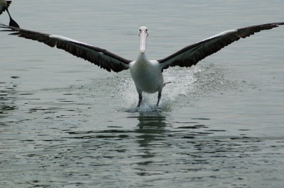 DSC_0023.JPG