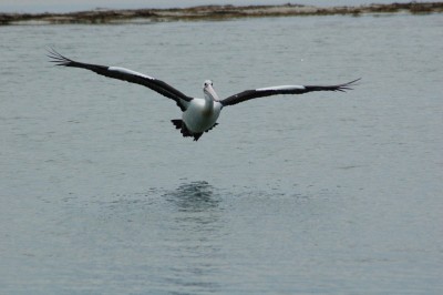 DSC_0031.JPG