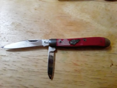 20220312_132048.jpg