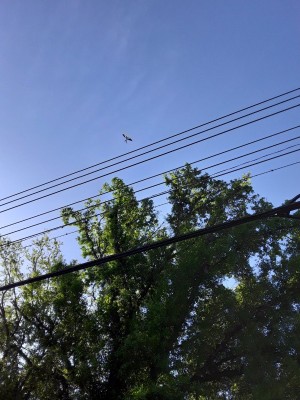 20220322_095940.jpg