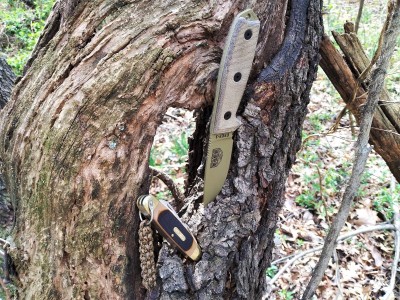 OT ESSE on the trail.jpg