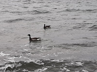 thumbnail_20220323_120249.jpg