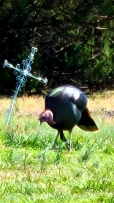 20220326_112308.jpg
