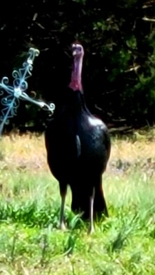 20220326_112302.jpg