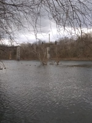 IMG_20220327_084824303.jpg