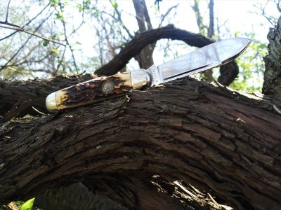 Queen Stag NKCA on the trail II.jpg