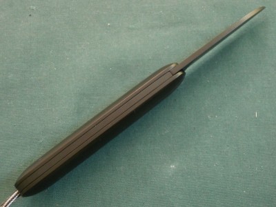 P3310007.JPG