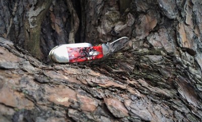 Crimson canoe treed .jpg