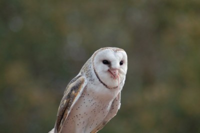 DSC_0023.JPG