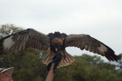 DSC_0043.JPG