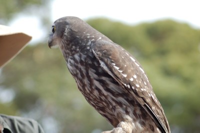 DSC_0035.JPG