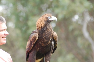 DSC_0057.JPG