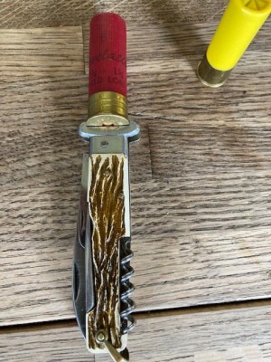 shotgun shell.jpg