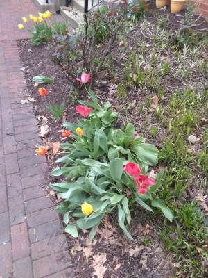 IMG_20220410_095918802.jpg