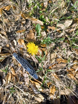20220407_092843.jpg