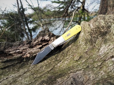 Yerrer Barlow by the creek.jpg
