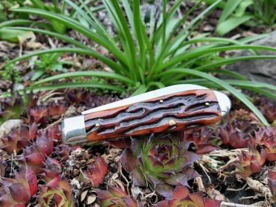thumbnail_20220413_140835.jpg