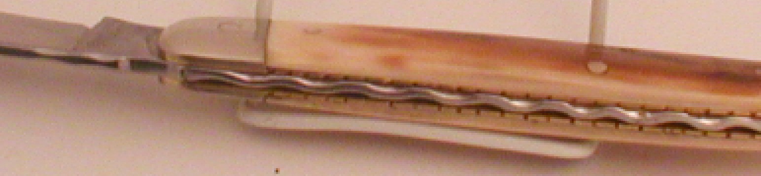 wn4.JPG