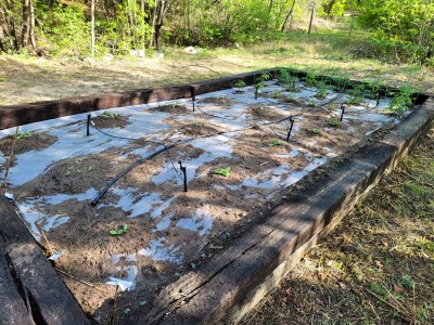 20220417_175551.jpg