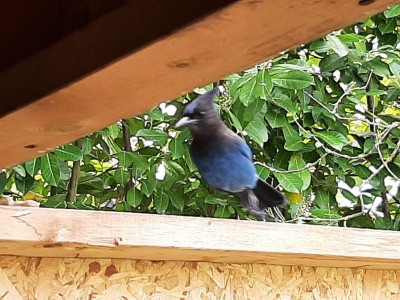 thumbnail_20220419_111406.jpg