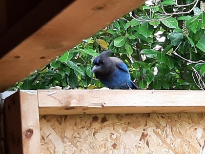 thumbnail_20220419_111454.jpg