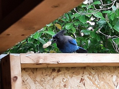 thumbnail_20220419_111452.jpg