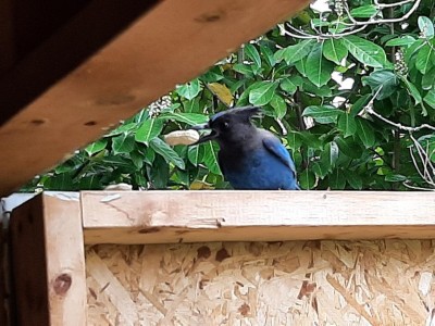 thumbnail_20220419_111453.jpg