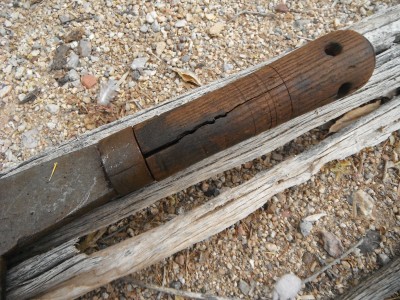 DSCF5556.JPG