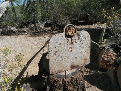 DSCF5259.JPG