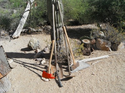 DSCF5253.JPG