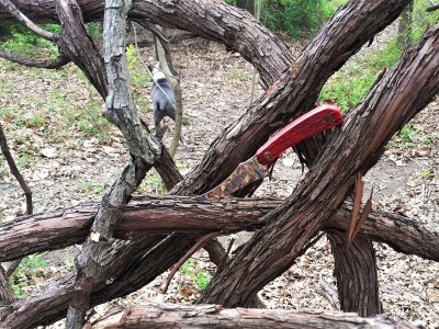 United Boker Red Fox Sharpfinger and Trey.jpg