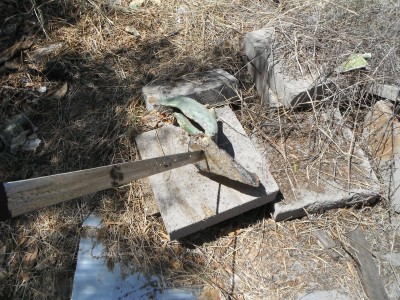 DSCF5606.JPG