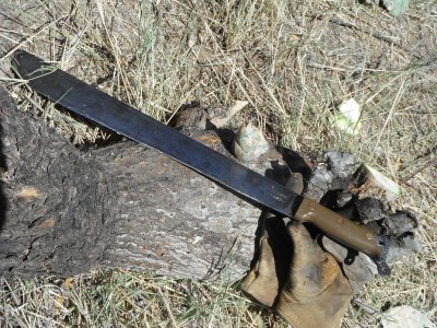 DSCF5611.JPG