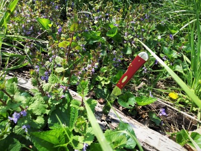 Mini CopperLock & Tiny Wildflowers.jpg