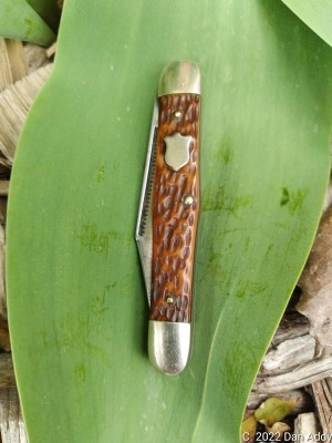 72 On Leaf.jpg