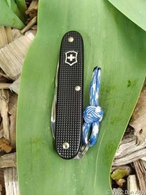 Pioneer On Leaf.jpg