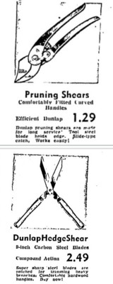 Sears Ads.