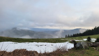 20220503_195217.jpg