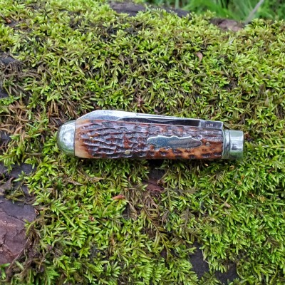 20220505_170014.jpg