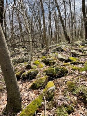 537B9D2A-112B-47DA-96E1-E438868D2867.jpeg
