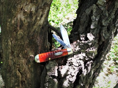 Case Jack in the hole.jpg