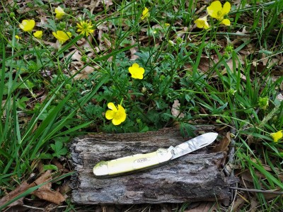 Wildflower Yeller Case Canoe.jpg