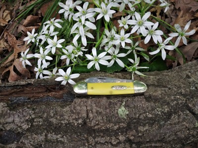 Wildflower Yeller Case Canoe II.jpg