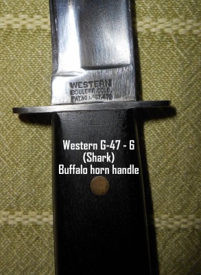 DSCN3065.JPG