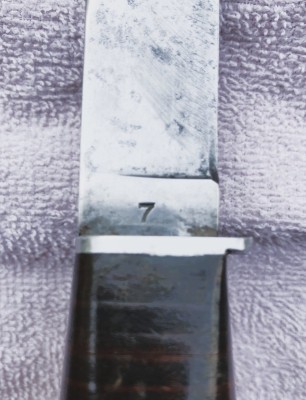 image (2).jpg