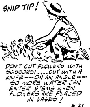 image.jpeg