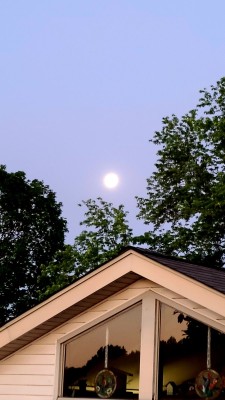 20220517_052429.jpg