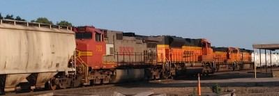 KIMG3024~2.JPG
