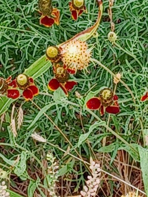 20220523_083626.jpg